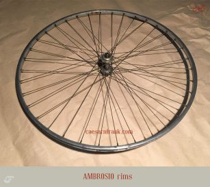 ambrosio_rims_1_1