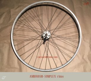 ambrosio_rims_2